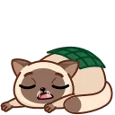 😴