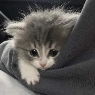 🤨