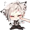 😽
