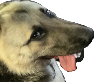 🤪