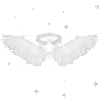 🪽