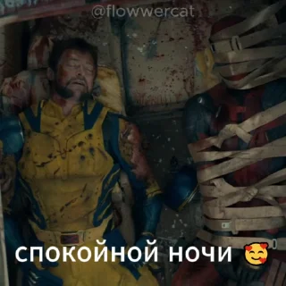 😴