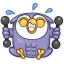 💪