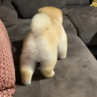 ☺️
