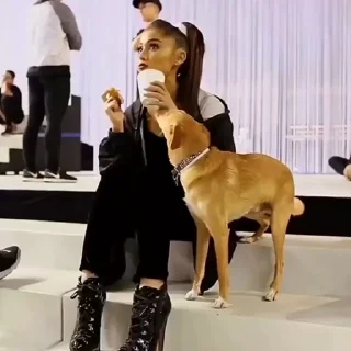 ♥️