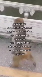 😱