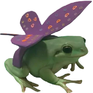 🦋