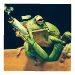 🚬
