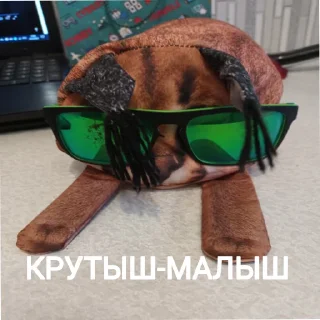 😎