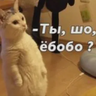 🤨
