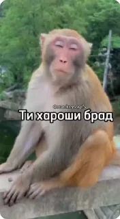 🚨НЕ ЖМИ 👉 @bibizyana_bratok