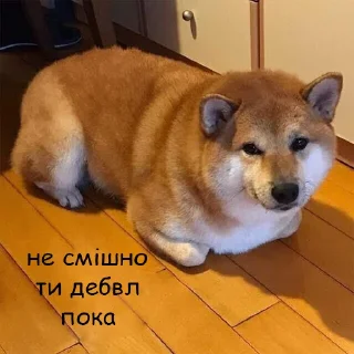 😢