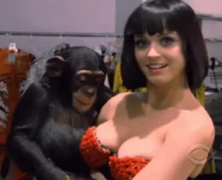 🐵