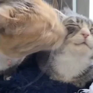 😘