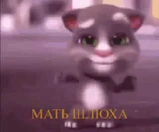 😎
