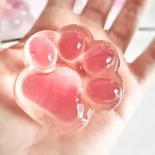 🐾