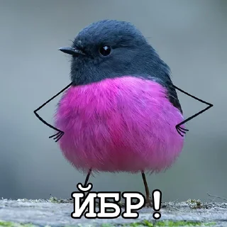 🤬