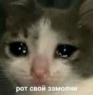 😣
