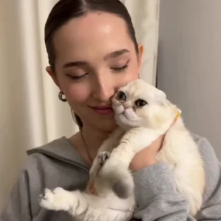 генсуха :: @wissshes1 @fStikBot
