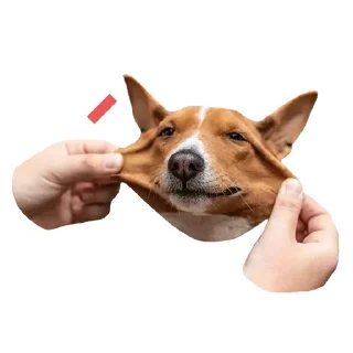 😊