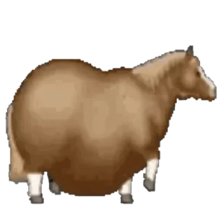 🤩