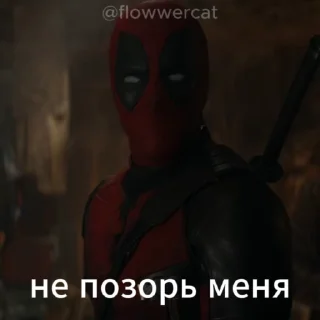 🙄