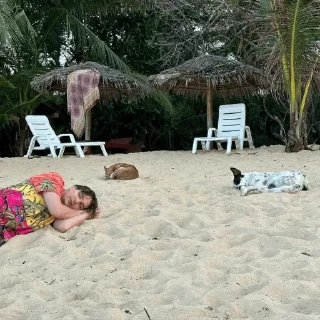 🛌