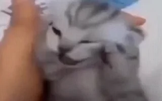 😧