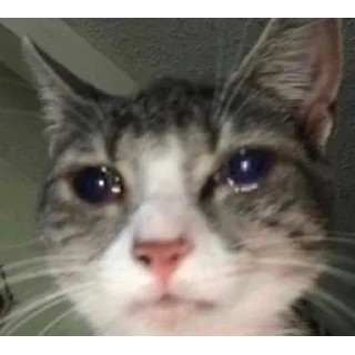😭