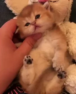 😍