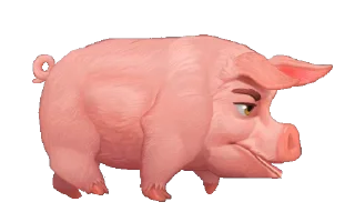 🐖
