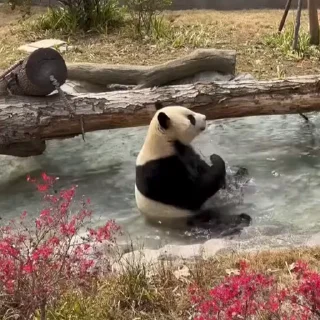 🛀