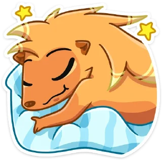 😴