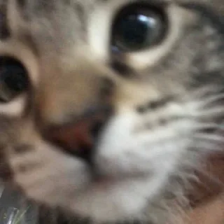 🤍