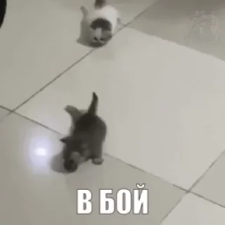 🤬