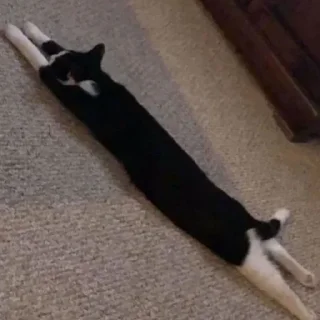 🤯