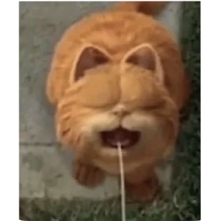 Котыкы