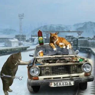 🚘
