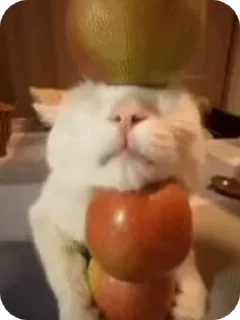 🌟