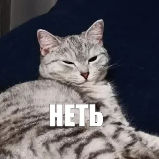 ➖