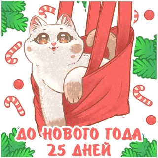 2⃣