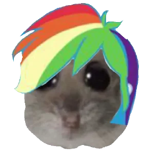 🌈