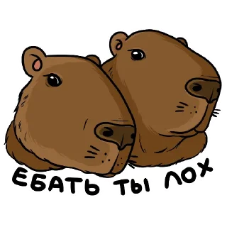 🫡