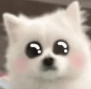 🥺
