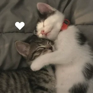😍