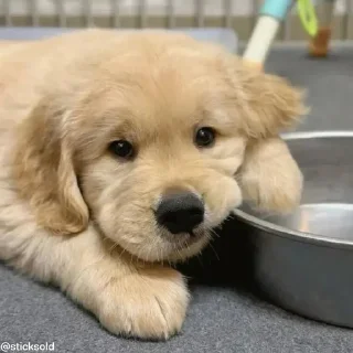 😚