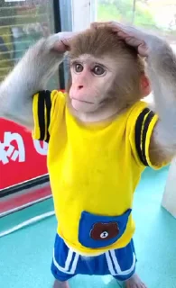 😜