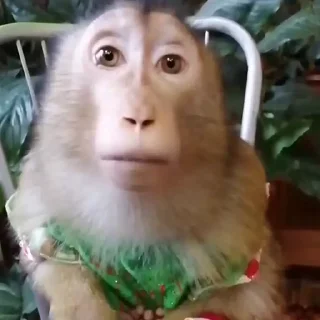 😒