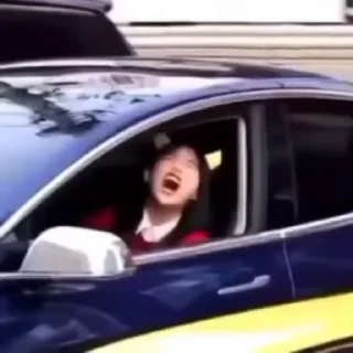 🐧