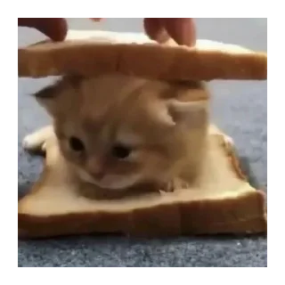😊